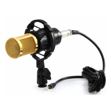 Микрофон Студийный Конденсаторный M-800 Music D.J.